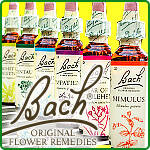 Dr Bach - essences, compositions and other products
