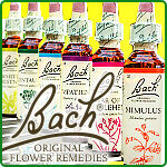 Dr Bach - essences, compositions and other products
