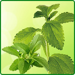 Stevia products