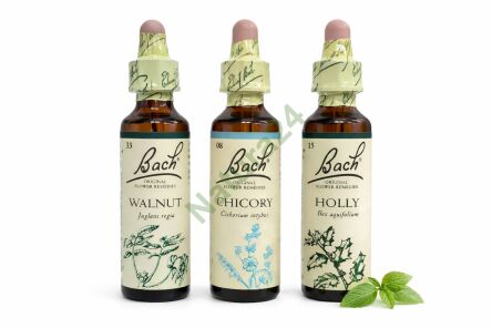 Zestaw harmonii w relacjach