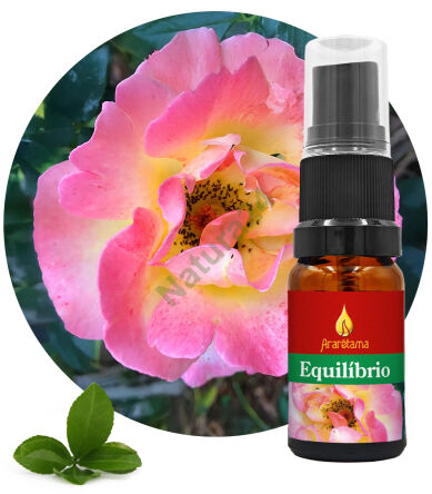 44. Equilibrum Equilíbrio 10 ml Ararêtama Rainforest Essences