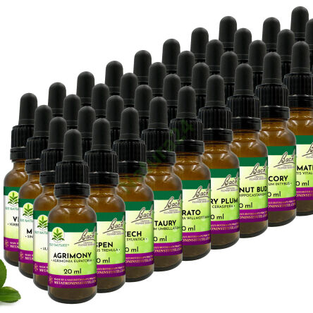 Zestaw 38 Kompozycji Bach Original Flower Remedies Nelson 20ml + 2 butelki - 3