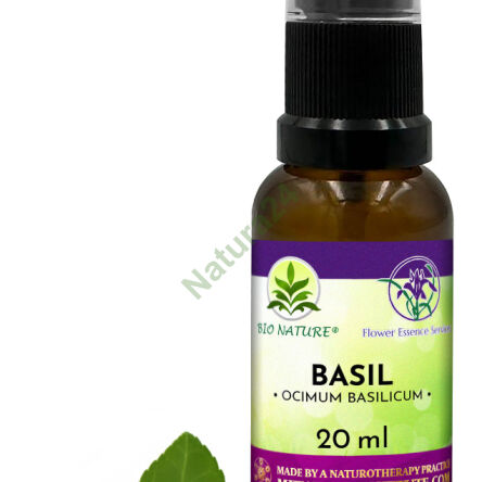 007. Basil - Kompozycja FES 20ml - 2
