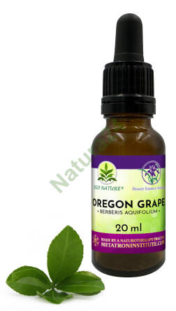 063. Oregon Grape - Kompozycja FES 20ml