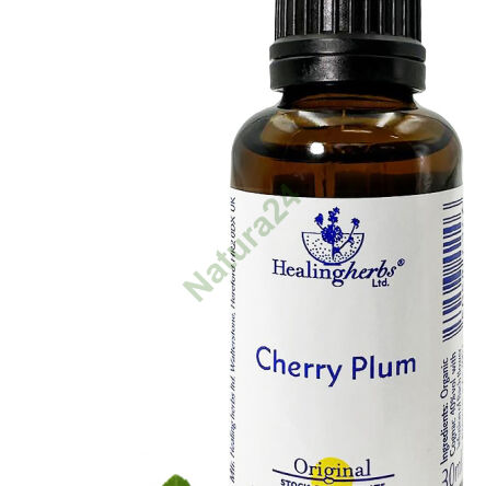 6. CHERRY PLUM / Śliwa wiśniowa / Ałycza 10/30 ml lub globulki 15 g - 3