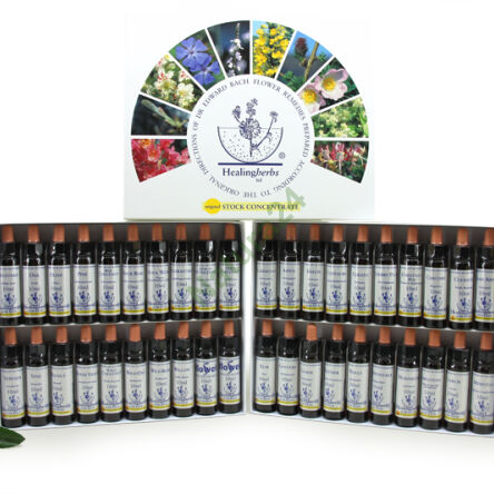 Bach Essence Set 40x 10 ml - 2