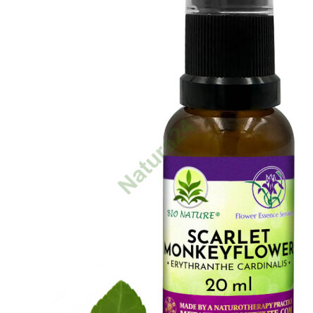 082. Scarlet Monkeyflower - Kompozycja FES 20ml - 2