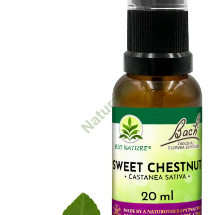 30. SWEET CHESTNUT / Kasztan jadalny - Kompozycja Bach Original Flower Remedies Nelson 20ml - 2
