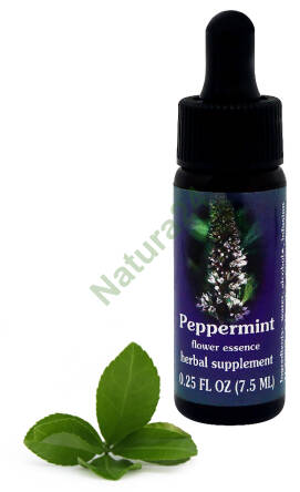 FES Peppermint 7,5 ml krople