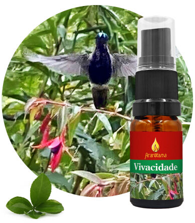 63. Vivacity Vivacidade 10 ml Ararêtama Rainforest Essences