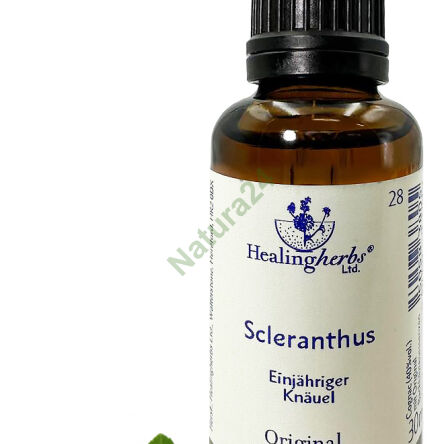 28. SCLERANTHUS / Annual June 10/30 ml or globules 15 g - 3
