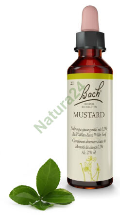 21. MUSTARD / Gorczyca polna 20 ml Nelson Bach Original Flower Remedies deutsch