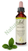 21. MUSTARD / Gorczyca polna 20 ml Nelson Bach Original Flower Remedies deutsch