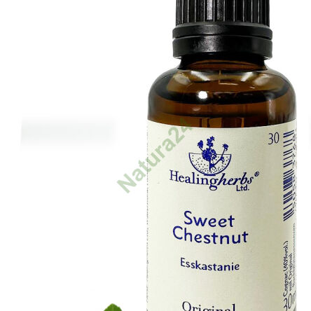 30. SWEET CHESTNUT / Edible Chestnut 10/30 ml or globules 15 g - 3