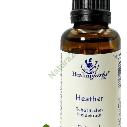 14. HEATHER / Common Heather 10/30 ml or globules 15 g - 3
