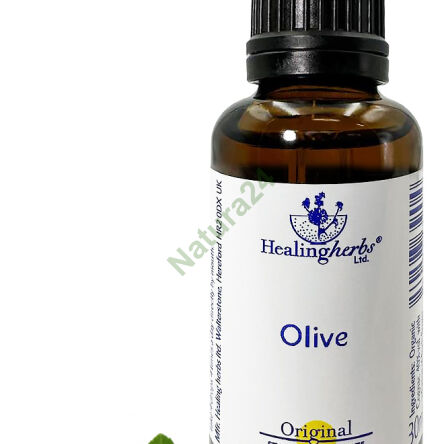 23. OLIVE / Olive 10/30 ml or globules 15 g - 3