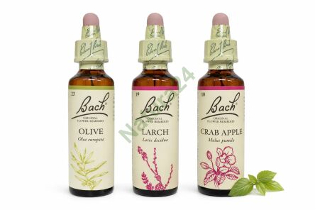 Zestaw wsparcia w doświadczeniu choroby