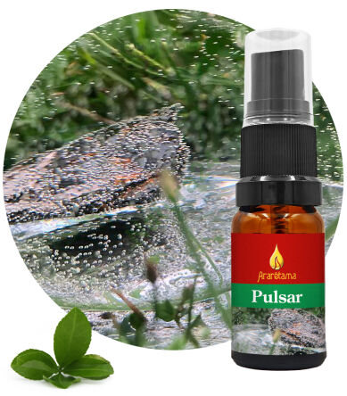 56. Pulsation Pulsar 10 ml Ararêtama Rainforest Essences