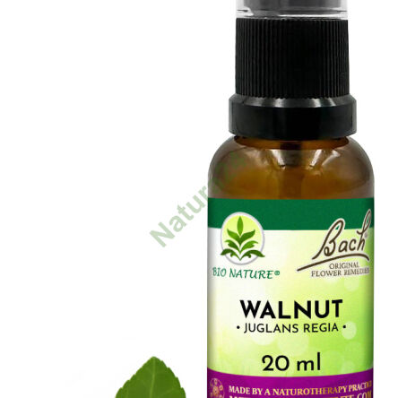 33. WALNUT / Orzech włoski - Kompozycja Bach Original Flower Remedies Nelson 20ml - 2