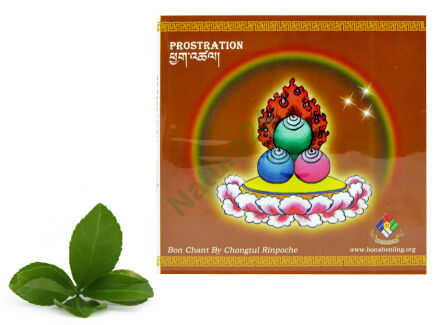 Prostration Board -50%