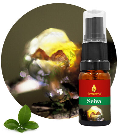 27. Seiva 10 ml Ararêtama Rainforest Essences