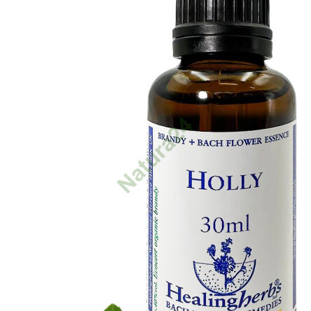 15. HOLLY / Thorny holly 10/30 ml or globules 15 g - 3