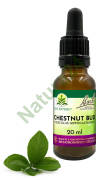 07. CHESTNUT BUD / Pąk kasztanowca - Kompozycja Bach Original Flower Remedies Nelson 20ml