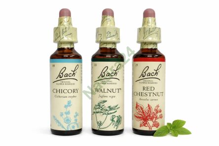 Zestaw wsparcia relacji rodzic – dziecko