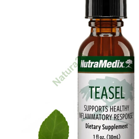 Teasel - Oset NutraMedix 30ml - 2
