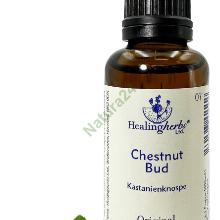 7. CHESTNUT BUD / Horse Chestnut Bud 10/30 ml or globules 15 g - 3
