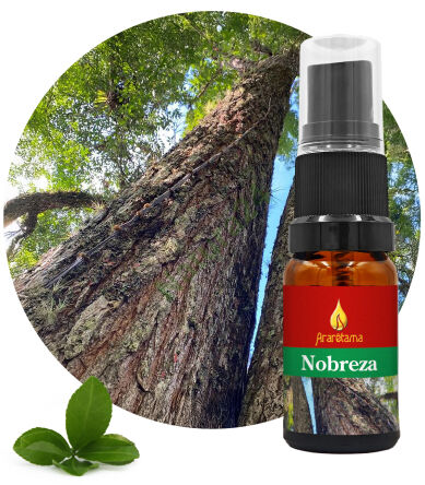 54. Nobility Nobreza 10 ml Ararêtama Rainforest Essences