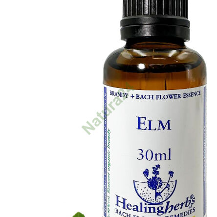 11. ELM / English Elm 10/30 ml or globules 15 g - 3
