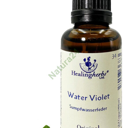 34. WATER VIOLET / Marsh colon / Violet 10/30 ml or globules 15 g - 3