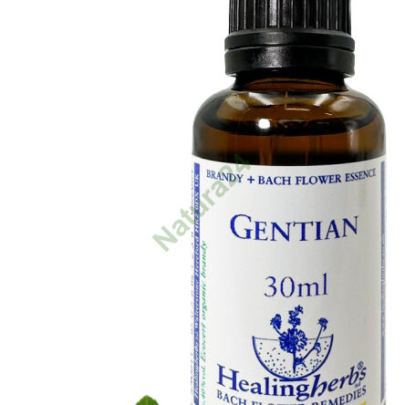 12. GENTIAN / Bitter gentian 10/30 ml or globules 15 g - 3