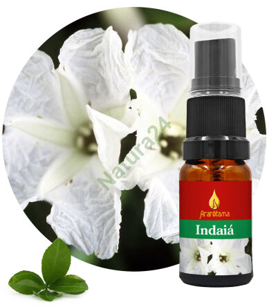 13. Indaiá 10 ml Ararêtama Rainforest Essences