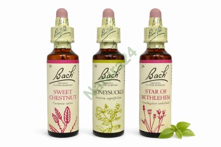 Zestaw wsparcia w doświadczeniu straty