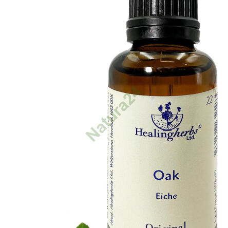 22. OAK / Pedunculate oak 10/30 ml or globules 15 g - 3