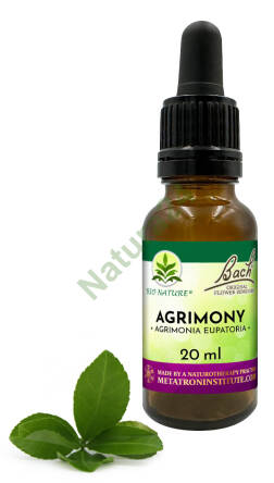 01. AGRIMONY / Rzepik pospolity - Kompozycja Bach Original Flower Remedies Nelson 20ml