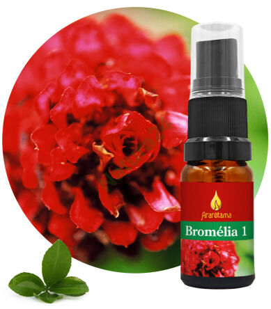 03. Bromélia 1 10 ml Ararêtama Rainforest Essences