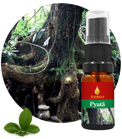 23. Pyatã 10 ml Ararêtama Rainforest Essences
