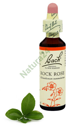 26. ROCK ROSE / Posłonek kutnerowaty 20 ml Nelson Bach Original Flower Remedies englisch