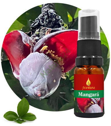 52. Mangará 10 ml Ararêtama Rainforest Essences