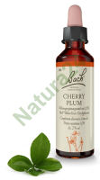 6. CHERRY PLUM / Śliwa wiśniowa 20 ml Nelson Bach Original Flower Remedies