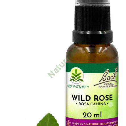 37. WILD ROSE / Dzika róża - Kompozycja Bach Original Flower Remedies Nelson 20ml - 2