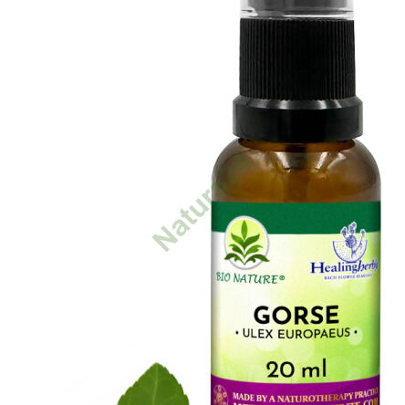 13. GORSE / Kolcolist zachodni - Kompozycja HealingHerbs 20ml - 2