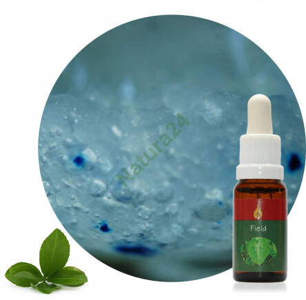 Field 15 ml Ararêtama Rainforest Essences ARF01011