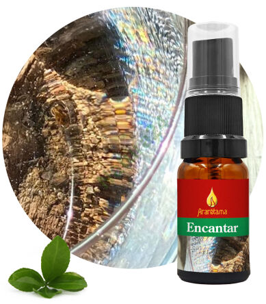 42. Enchant Encantar 10 ml Ararêtama Rainforest Essences