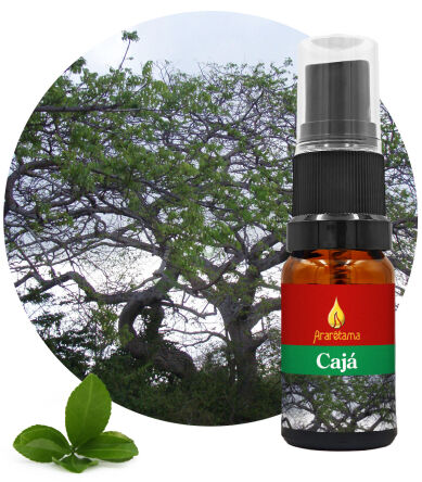 05. Cajá 10 ml Ararêtama Rainforest Essences