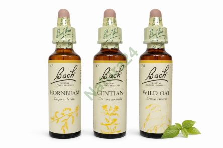 Zestaw wsparcia w odnajdywaniu sensu życia