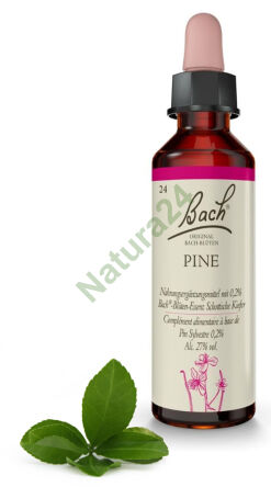 24. PINE / Sosna 20 ml Nelson Bach Original Flower Remedies